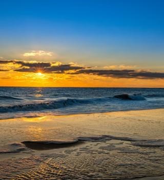 Obituary of Shirley Jean Fisher