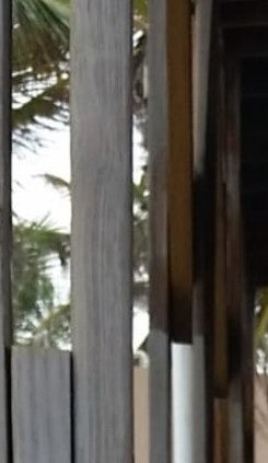 Iraida Garcia Obituary San Juan, PR