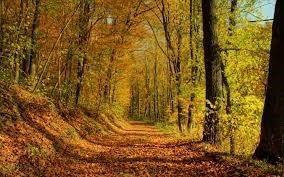 Obituary of Mr. Joshua Clayton Little