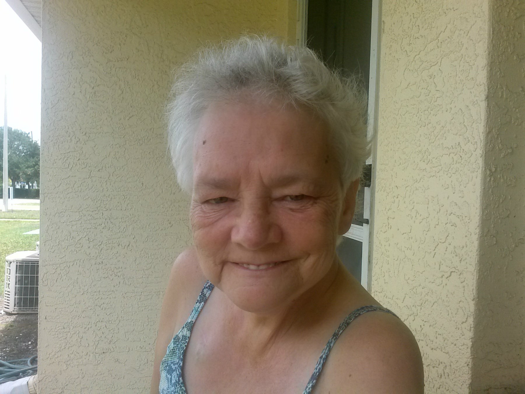 Obituary of Arlene Virginia Briggs