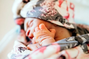 Obituary of Evelyn Rose Hipp