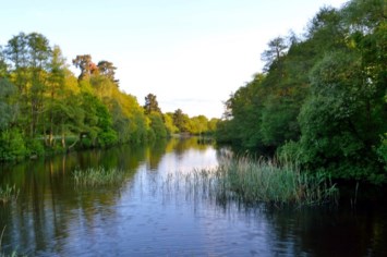 Obituary of Clyde Dale Shoemaker Jr.