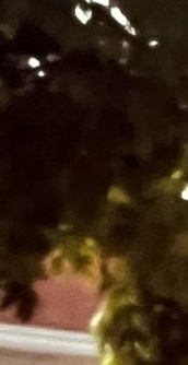 Patsy Rice Obituary - Douglasville, GA