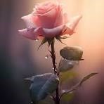 Obituary of Louise Anne Marie Ouellette