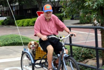 Obituary of Calvin David Steele