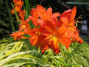 Obituary of DeLois A. Keightley