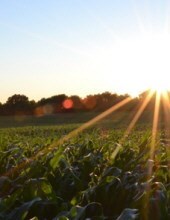 Obituary of Wilbert Enlow Vance Sr.