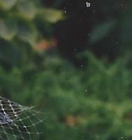 Robert Rochon Obituary - Rosemere, QC