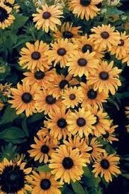 Obituary of Anita Yringco Tupaz