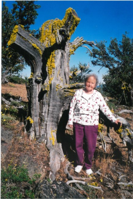 Obituary of Edna W Collins