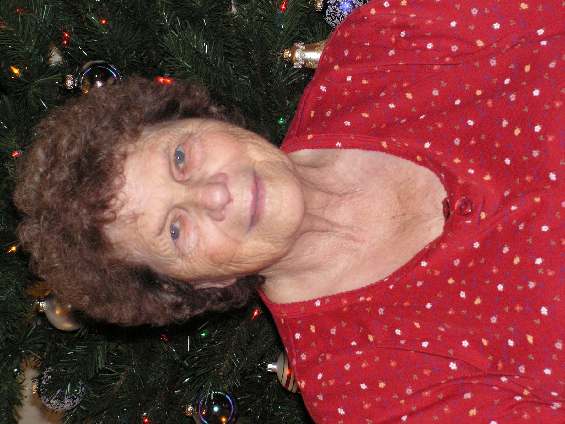 Obituary of Freda Bell Coy