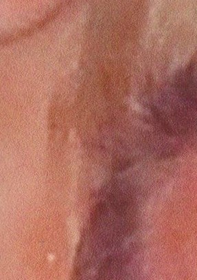 Dating Show In Meridian Ms Dating Show In Meridian Ms