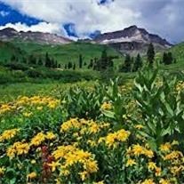 Avis de décès de Colleen Jewel Williams