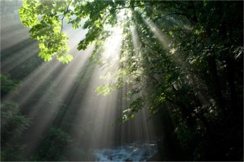 Obituary of Joe N. Green