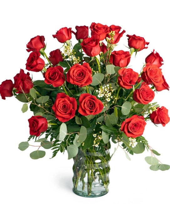 Obituary of Julio Viera