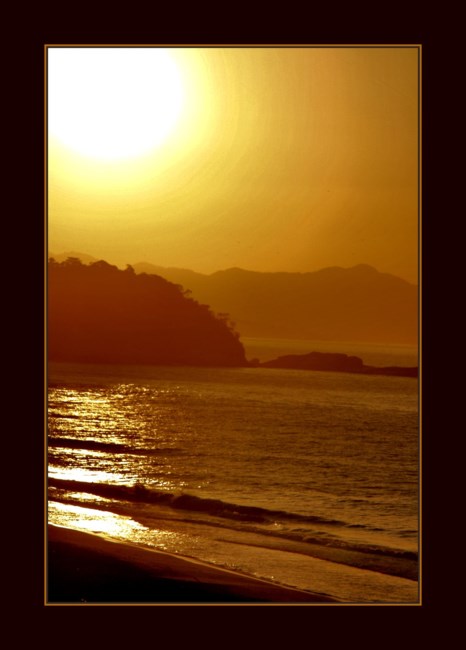 Obituary of Elaine J. Alers