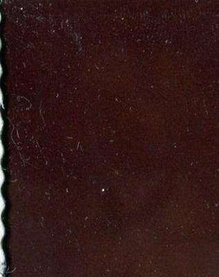 John Shores Obituary Greeley, CO