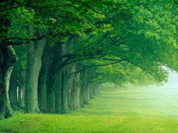 Obituary of Michael E Ashby