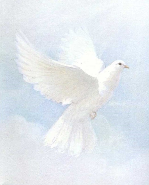 Obituary of Kyung-Ja Kim