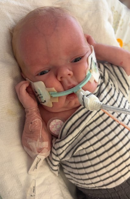 Obituary of David Glenn Holbrook III