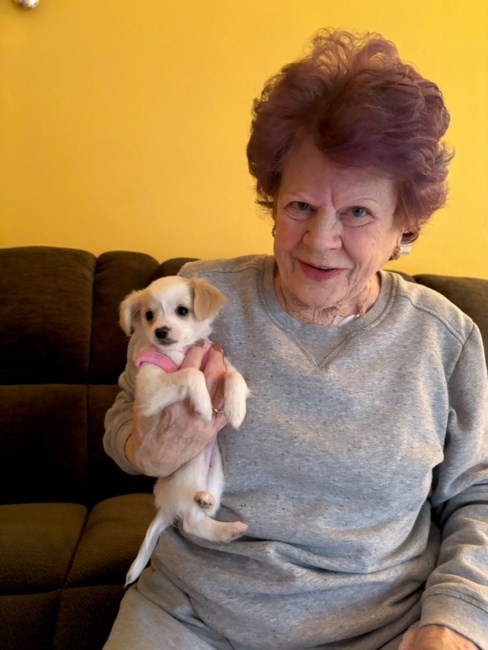 Obituary of Suelyn Fay Grubb