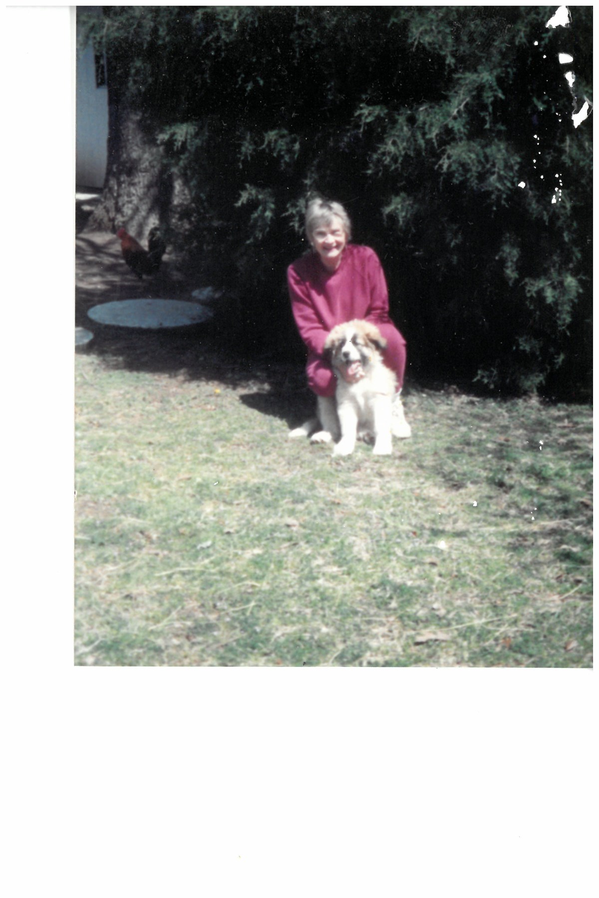 Obituary of Shirley Ann Parris