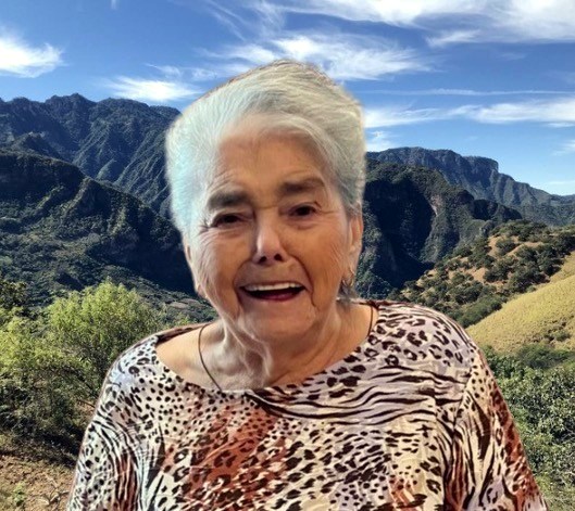 Obituary of Rosalva Villarreal De Chaidez