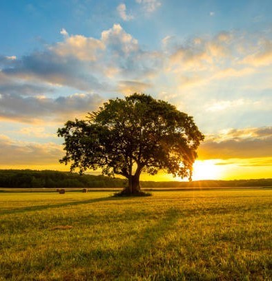 Obituario de Marvin Thomas Coughlin