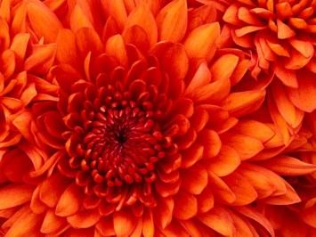 Obituary of Evelyn S. Hart