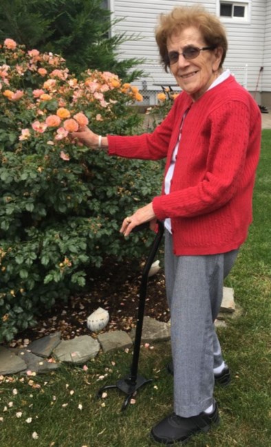 Obituary of Gina Hoda