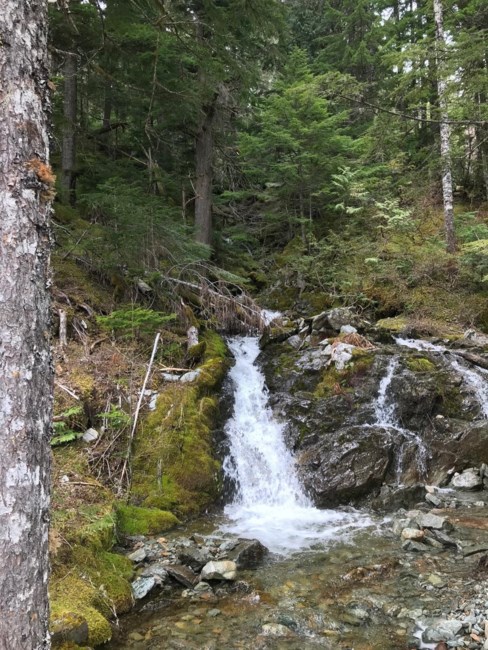 Obituary of Brian Alexander Begley