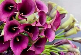 Obituary of Sharon Ann Hogan