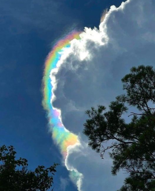 Obituary of David L Kemp