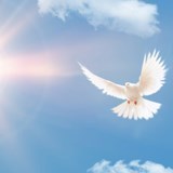 Obituary of Mary Evelyn Speakes
