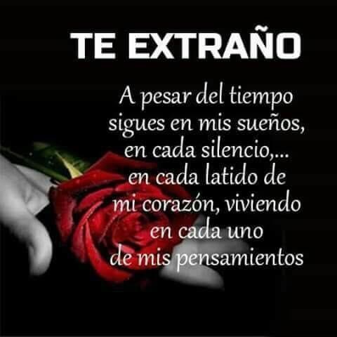 Gerardo Roldan Obituario San Jose Ca Escuchar y descargar música me preguntaron si aun te extrano mp3 para llevar en su celular donde quiera que se encuentre. gerardo roldan obituario san jose ca