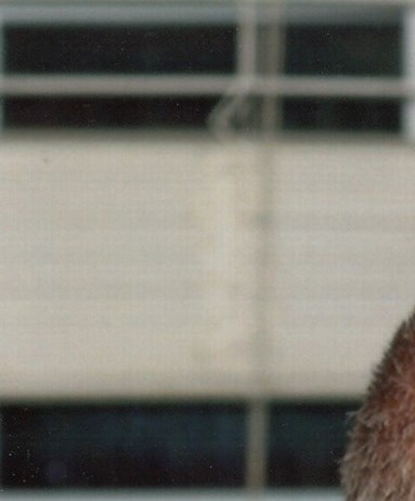 Chip Corrigan Michael Corrigan Obituary - Kansas City, MO