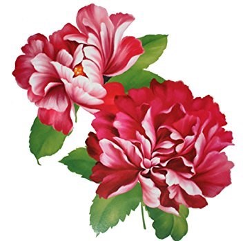 Obituary of Genoveva Gonzalez