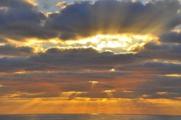 Obituary of Thomas Daniel Daley