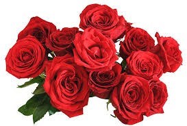 Obituary of Shushan Yao