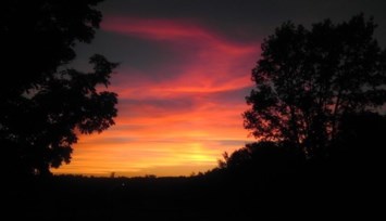 Obituary of George Maddox