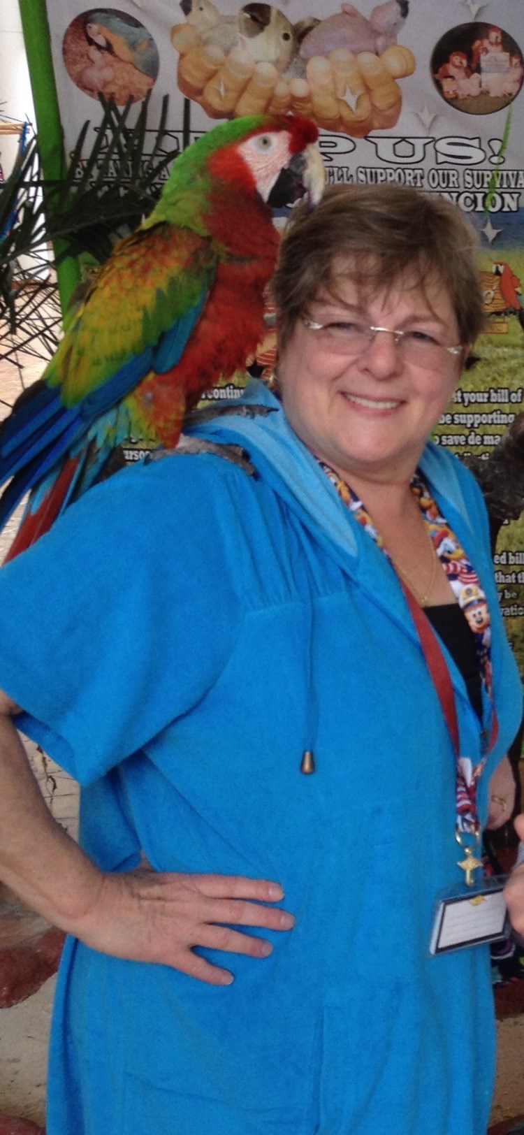 Obituary of Dale N. Sheehy