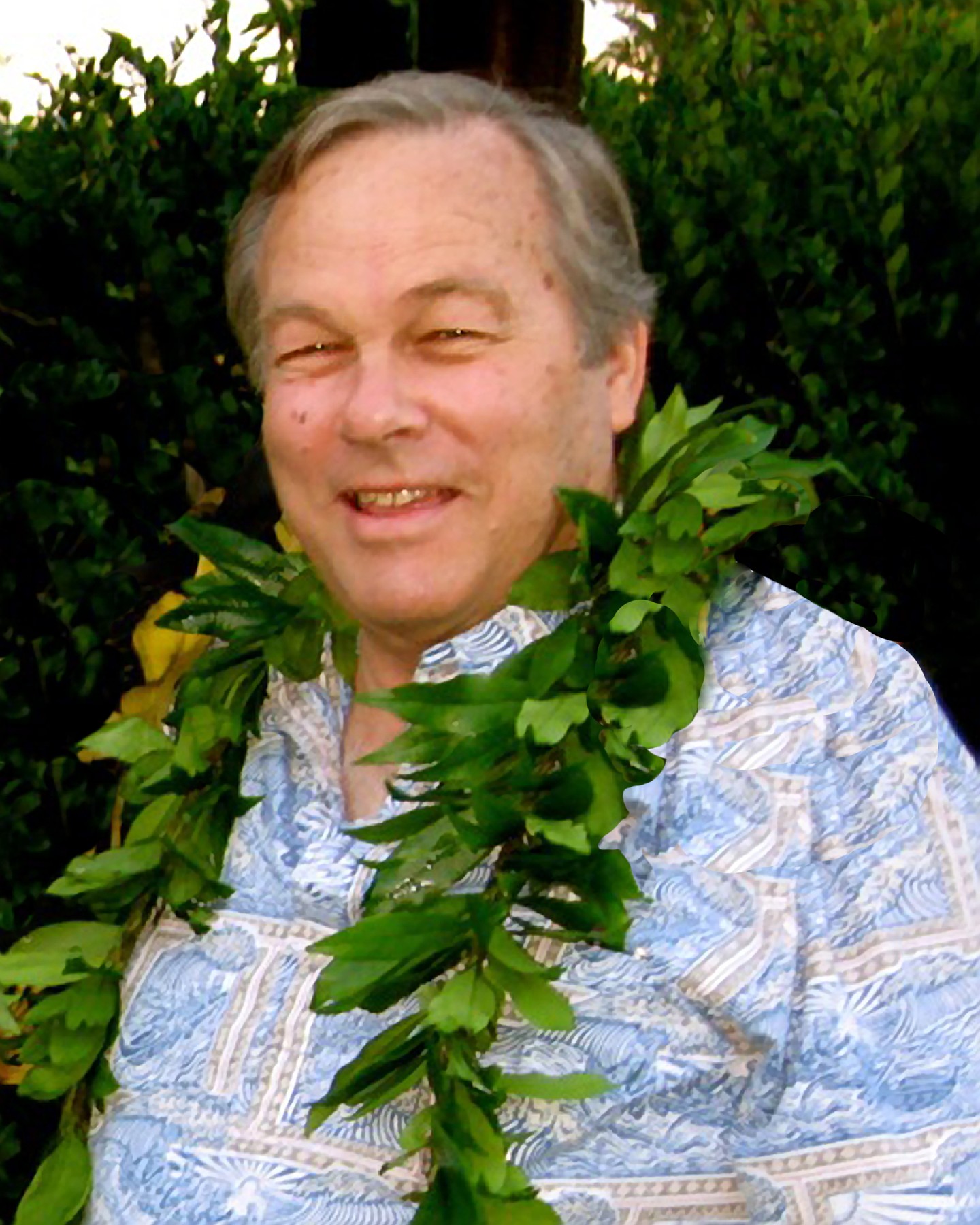Ward Hamilton Buscher Obituary Honolulu, HI