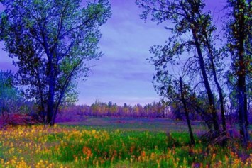 Obituary of Thomas Hubert Robison