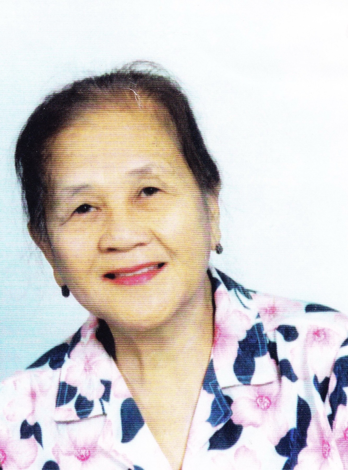 Arcadia Cansanay Obituary Cambridge, ON