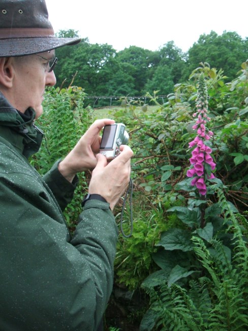 Obituary of Dan Alden Steele