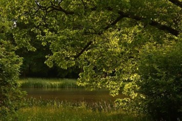 Obituary of John Hewlett Parkins III