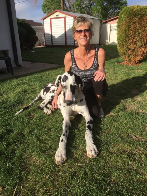 Obituary of Cindy Lou (Redfern) Collier