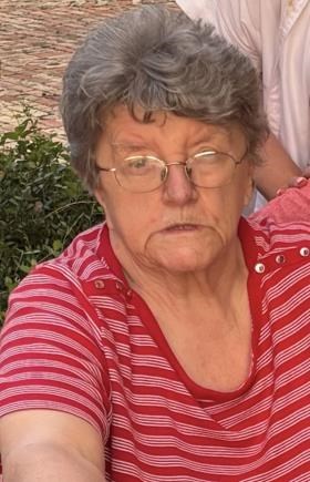 Obituary of Diane L. Van Horn