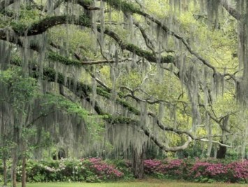 Obituary of Clifford O'Neal Hagerman