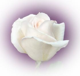Obituary of Muriel Rose Savin